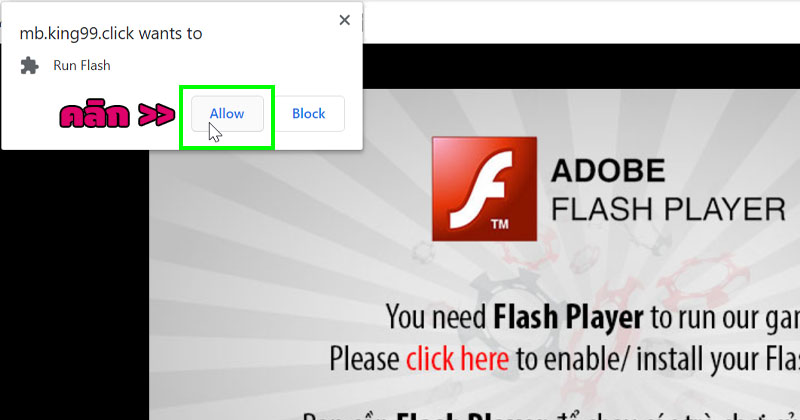 Run Flash อนุญาตเปิดใช้ Flash Player 